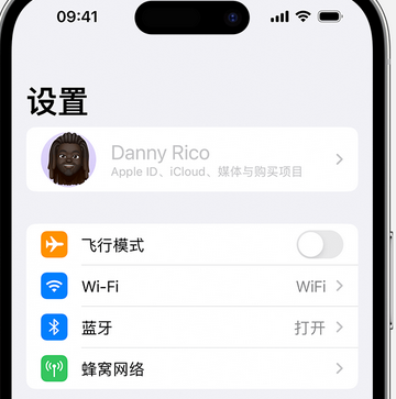 皇桐镇appleID维修服务iPhone设置中Apple ID显示为灰色无法使用 