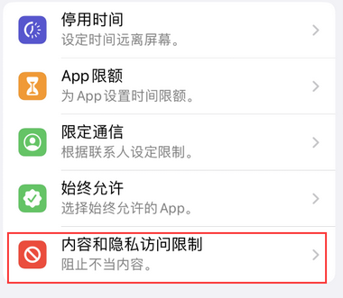 皇桐镇appleID维修服务iPhone设置中Apple ID显示为灰色无法使用