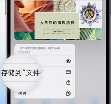 皇桐镇apple维修中心分享iPhone文件应用中存储和找到下载文件