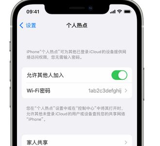 皇桐镇apple服务站点分享iPhone上个人热点丢失了怎么办 