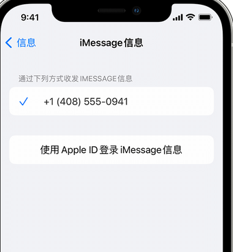 皇桐镇apple维修iPhone上无法正常发送iMessage信息 