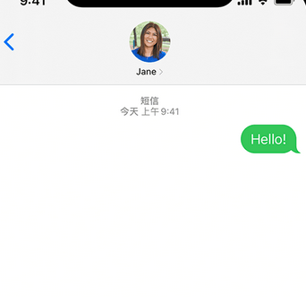 皇桐镇apple维修iPhone上无法正常发送iMessage信息