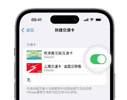 皇桐镇apple维修点分享iPhone上更换Apple Pay快捷交通卡手绘卡面 