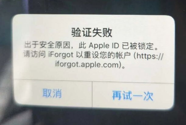 皇桐镇iPhone维修分享iPhone上正常登录或使用AppleID怎么办 