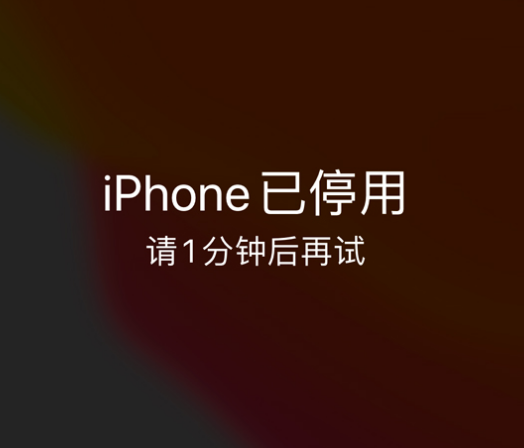 皇桐镇苹果手机维修分享:iPhone 显示“不可用”或“已停用”怎么办？还能保留数据吗？ 