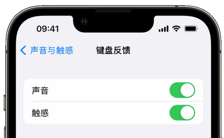 皇桐镇苹果手机维修分享iPhone 14触感键盘使用方法 