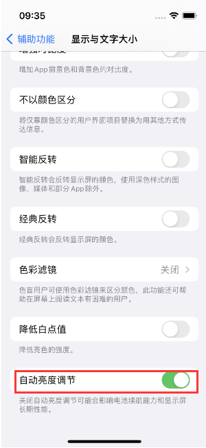 皇桐镇苹果15维修店分享iPhone 15 Pro系列屏幕亮度 