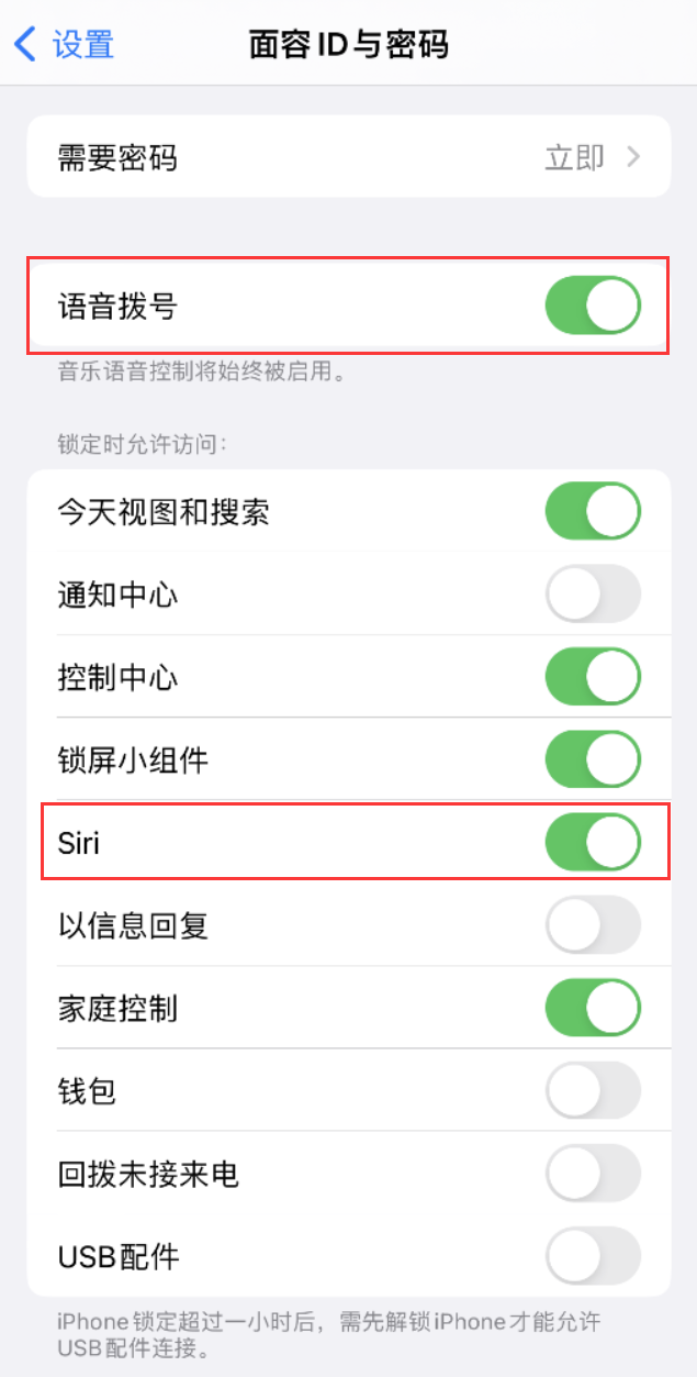 皇桐镇苹果维修网点分享不解锁 iPhone 的情况下通过 Siri 拨打电话的方法 