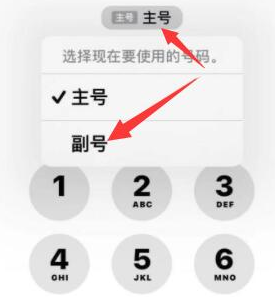 皇桐镇苹果14维修店分享iPhone 14 Pro Max使用副卡打电话的方法 