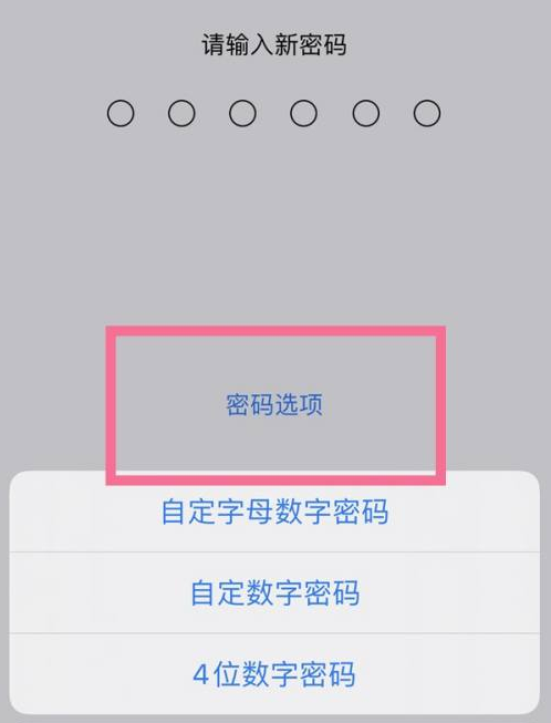 皇桐镇苹果14维修分享iPhone 14plus设置密码的方法 