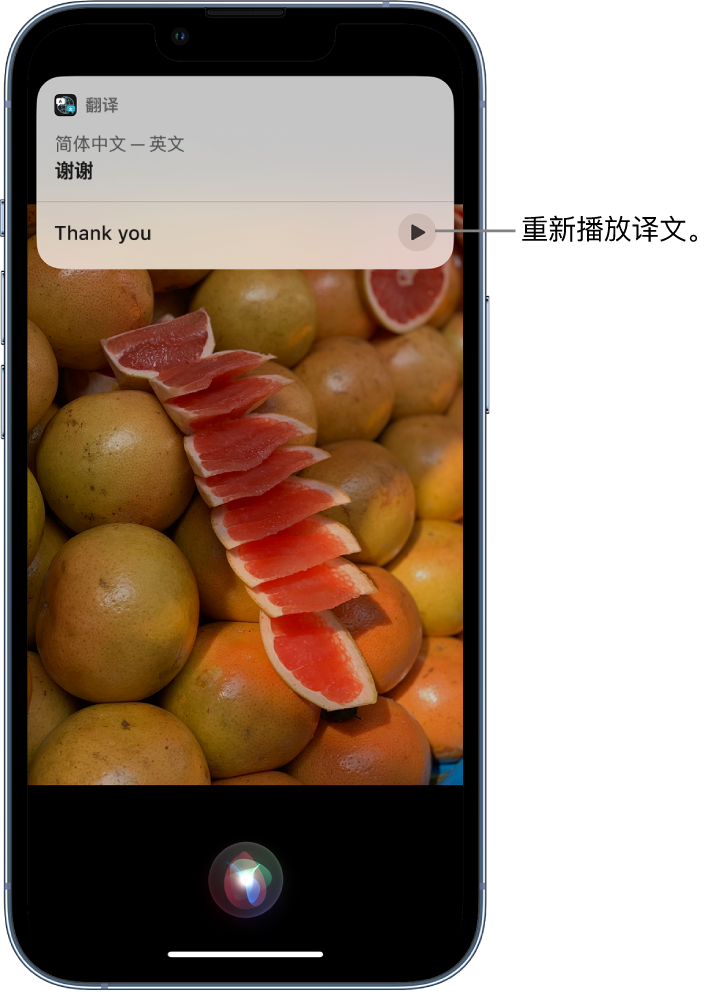 皇桐镇苹果14维修分享 iPhone 14 机型中使用 Siri：了解 Siri 能帮你做什么 