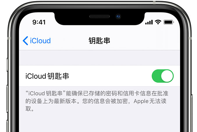 皇桐镇苹果手机维修分享在 iPhone 上开启 iCloud 钥匙串之后会储存哪些信息 