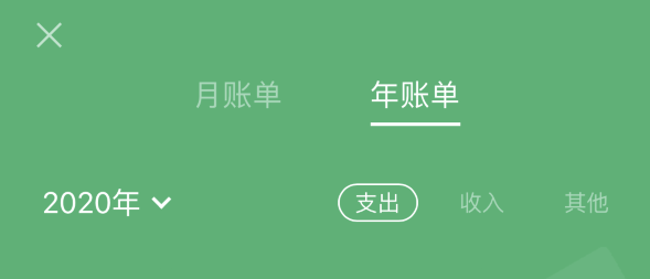 皇桐镇苹果手机维修分享如何在 iPhone 上查看支付宝和微信年支出账单 